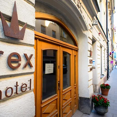 Rex Petit-2